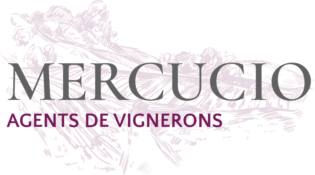 Mercucio